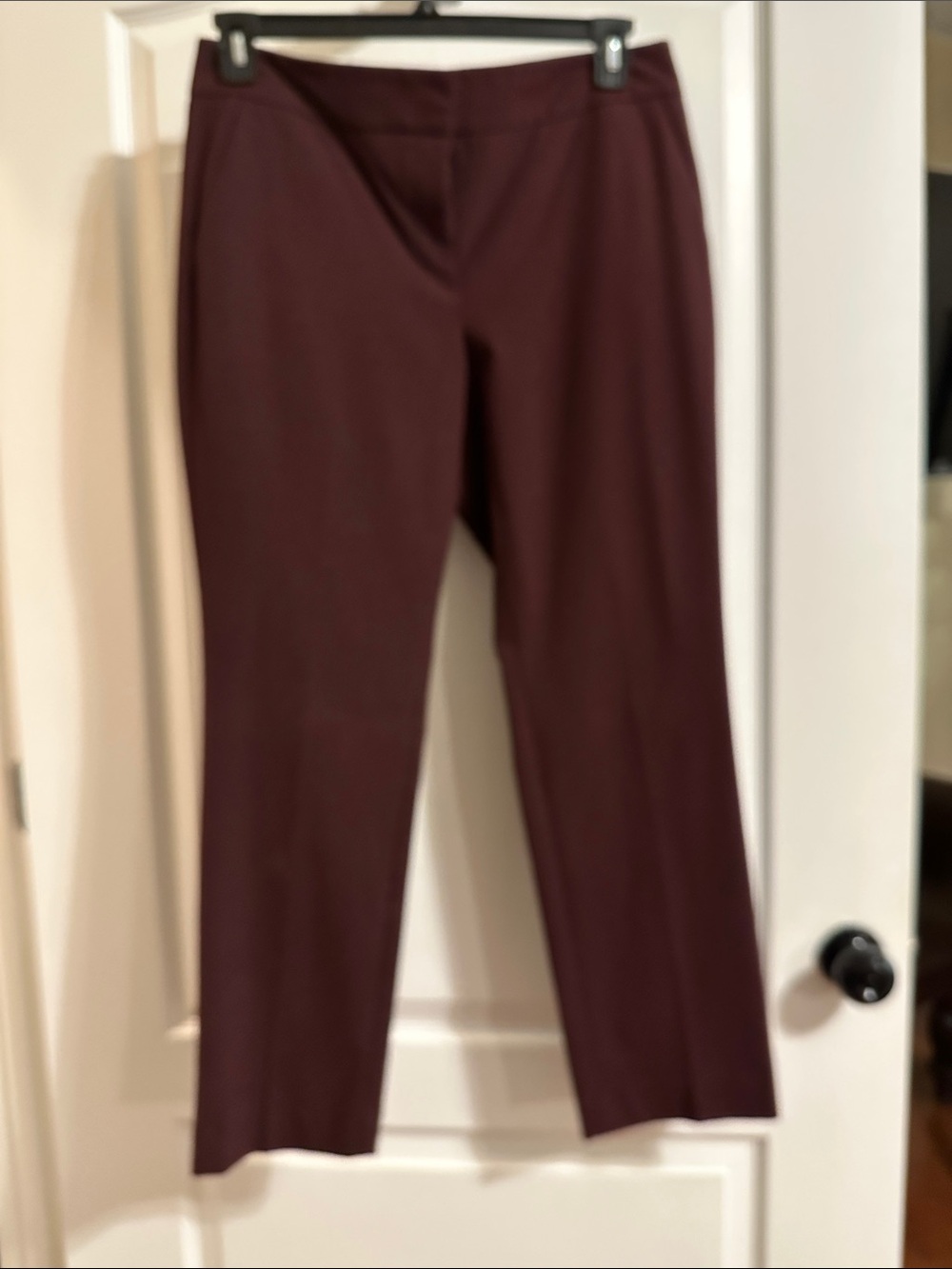 Ann Taylor Maroon Women’s Dress Trousers
